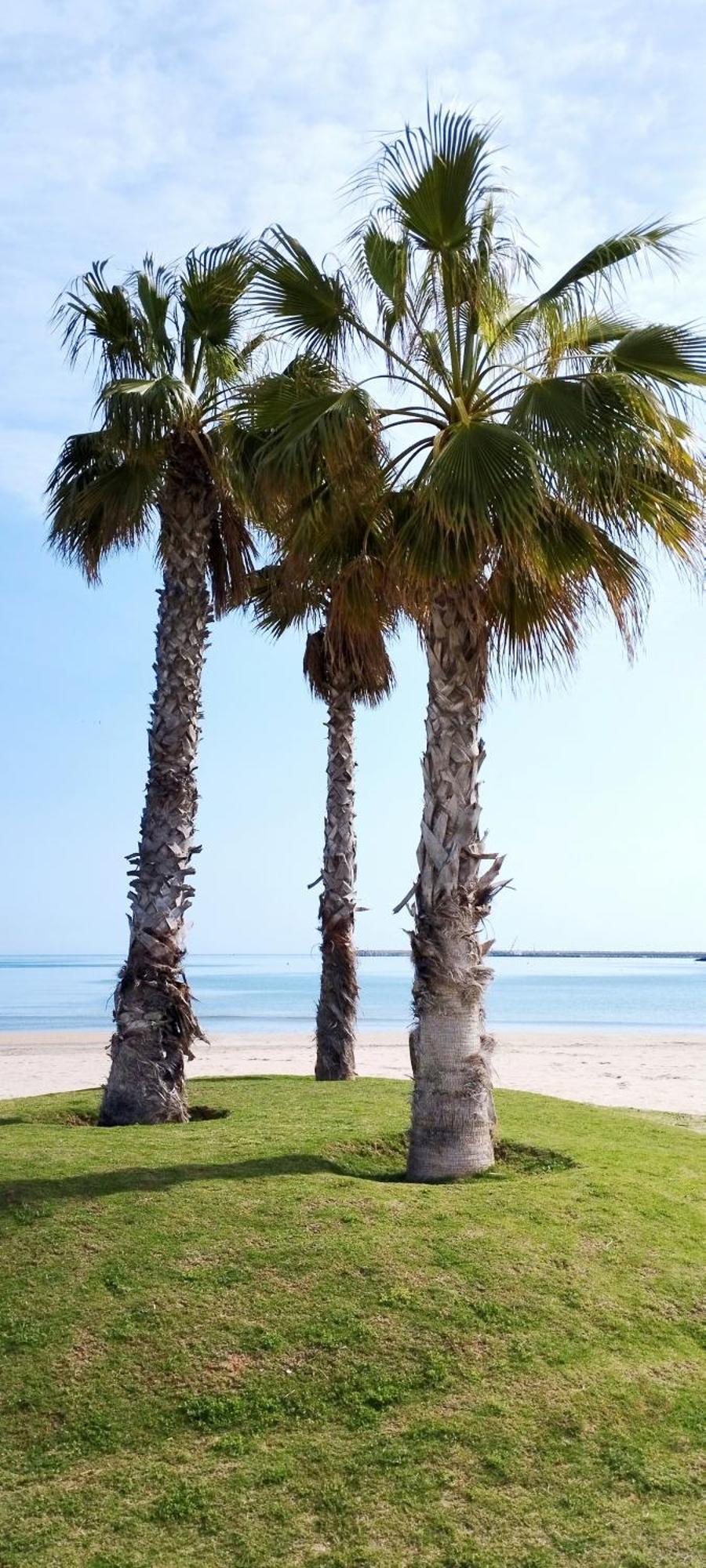 Beach House Marea Coral Melilla Exterior foto